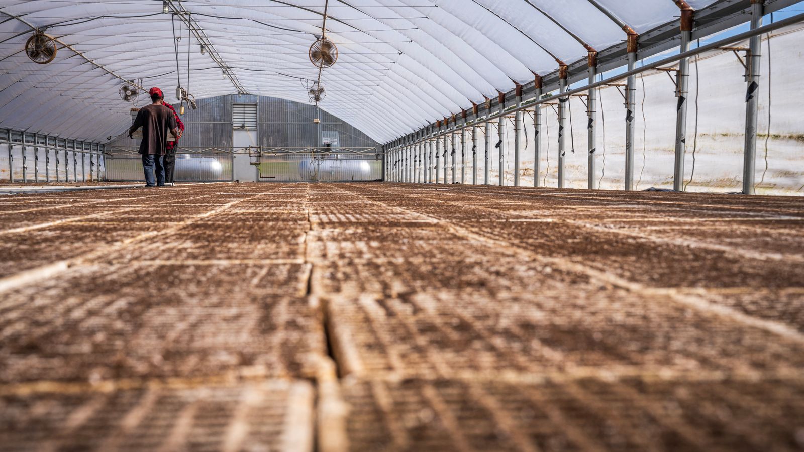 Interior of a large empty greenhouse with two workers inspecting the space.