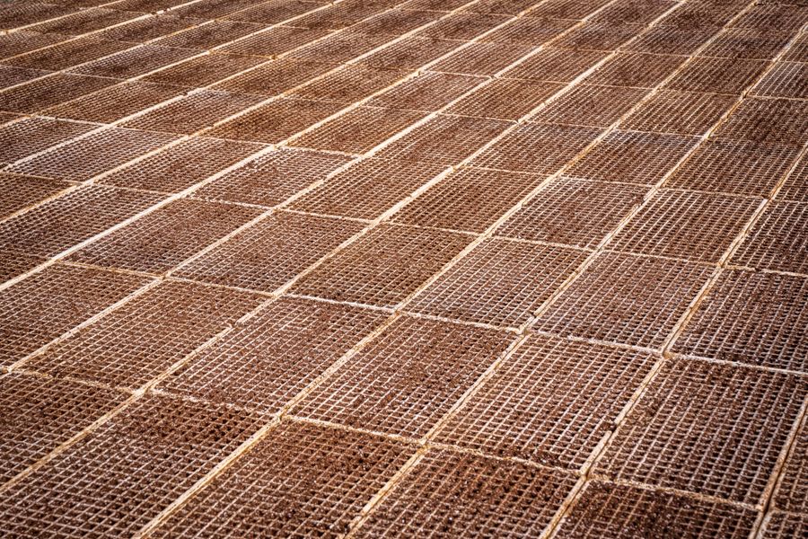 Scaffolding Services