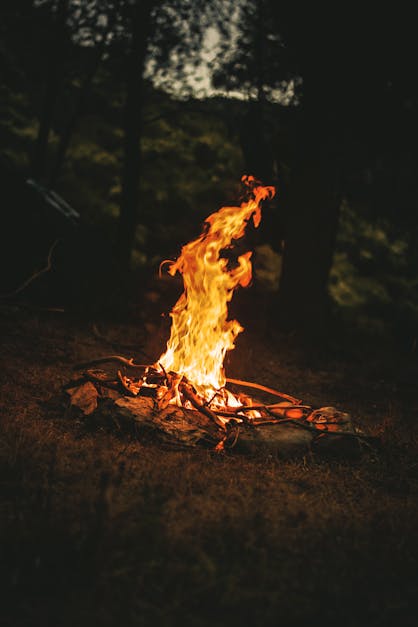 焚き火 無料の写真素材