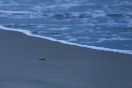 Ilmainen kuvapankkikuva tunnisteilla aalto, hämärä, hiekka