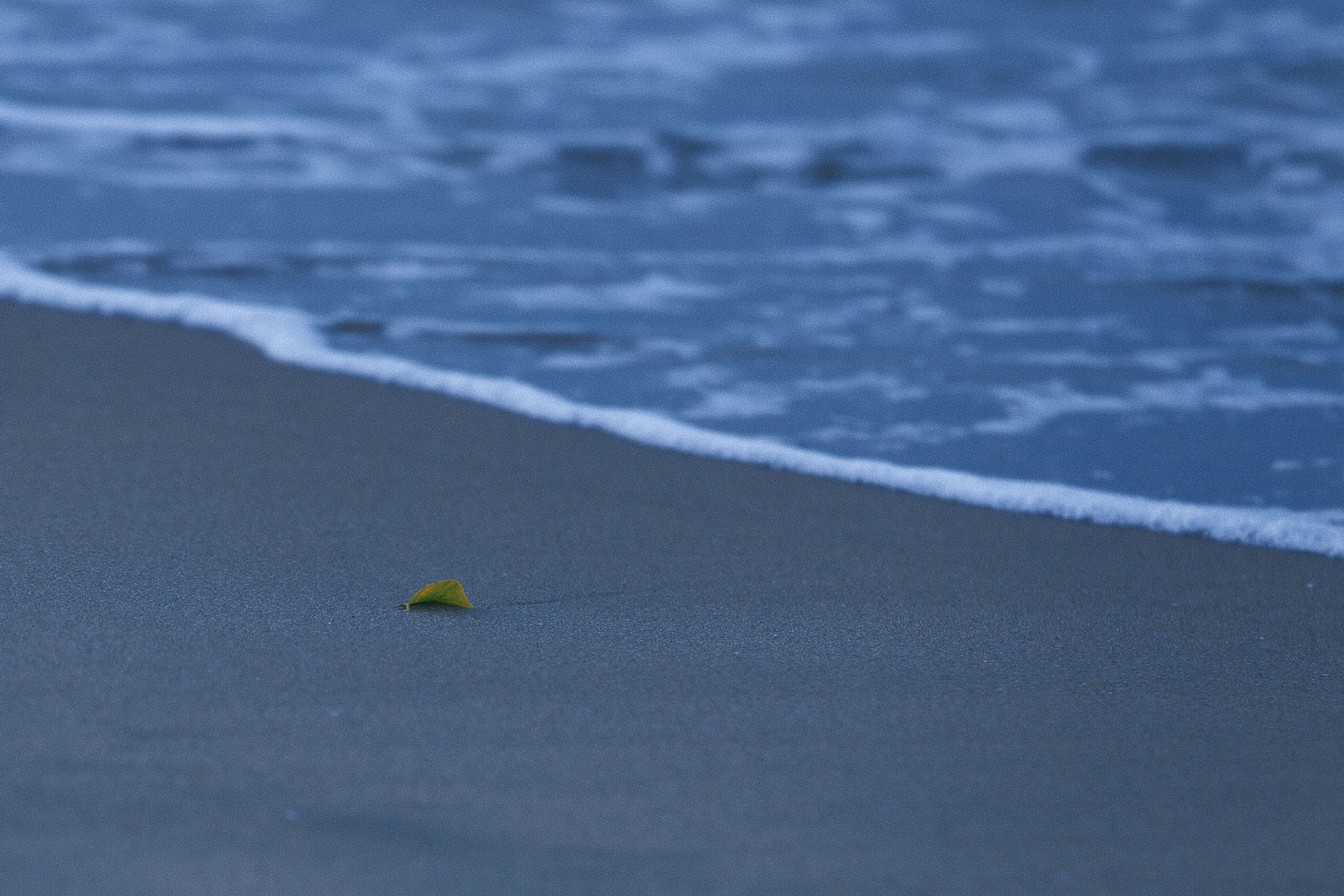 Sea Wave at Dusk · Free Stock Photo
