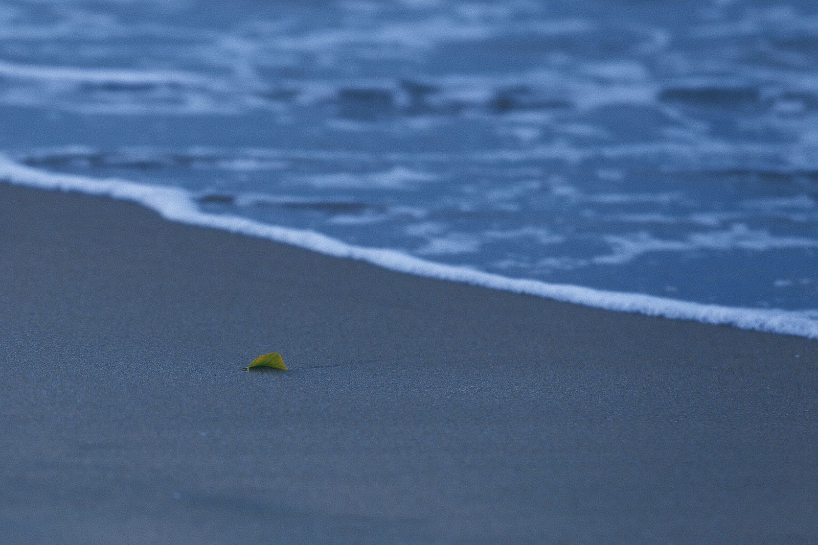 Sea Wave at Dusk · Free Stock Photo