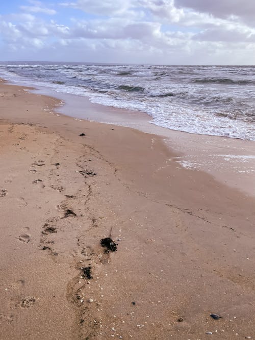 Δωρεάν στοκ φωτογραφιών με ακτή, άμμος, αφρός