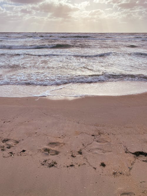 Δωρεάν στοκ φωτογραφιών με αδειάζω, ακτή, άμμος
