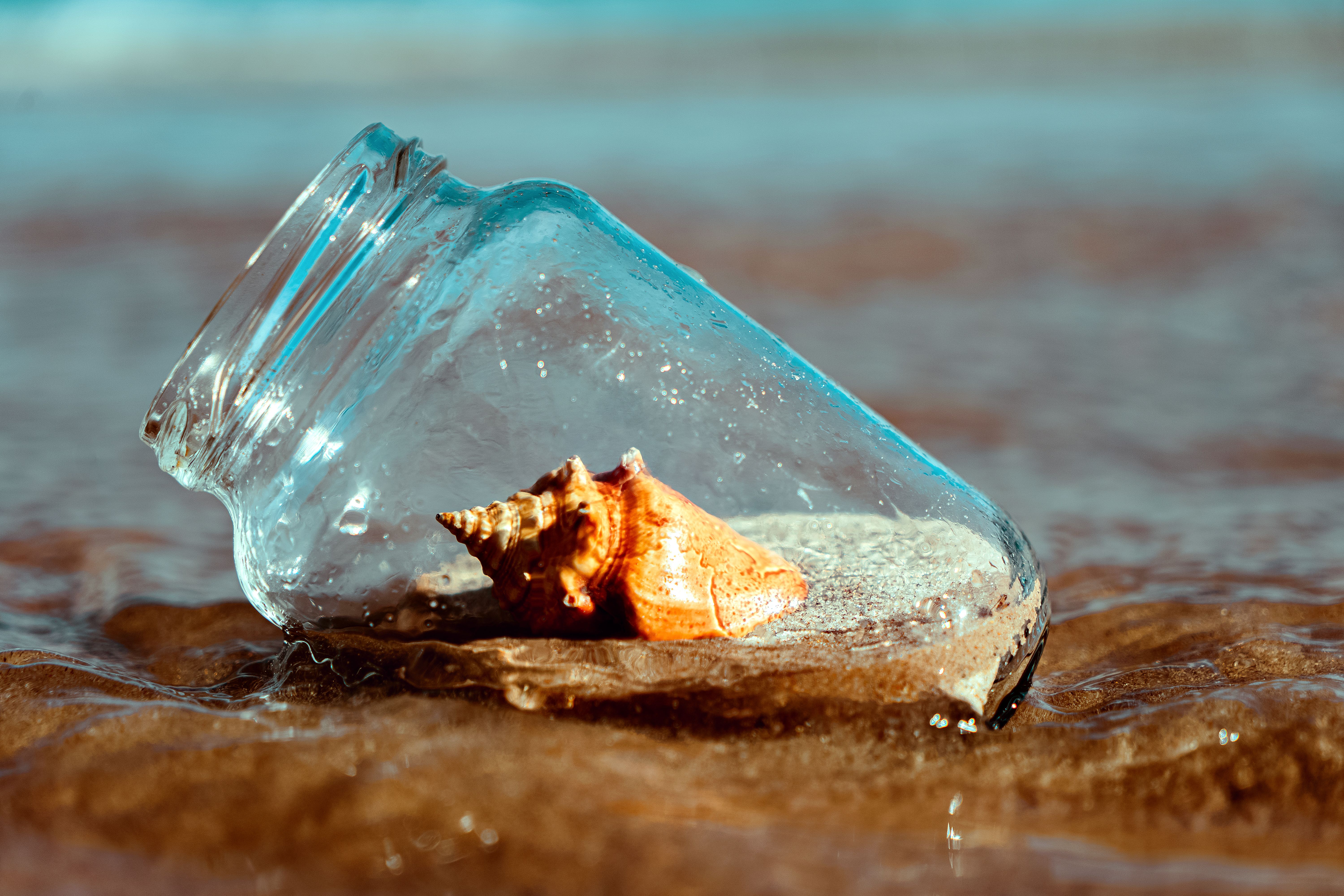 Shell in a Jar · Free Stock Photo