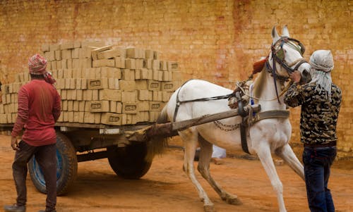 Horse Pulling a Cart with Bricks 