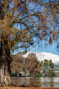 Beautiful scenery with snow-capped mountains and a serene lake in Riverside, California.