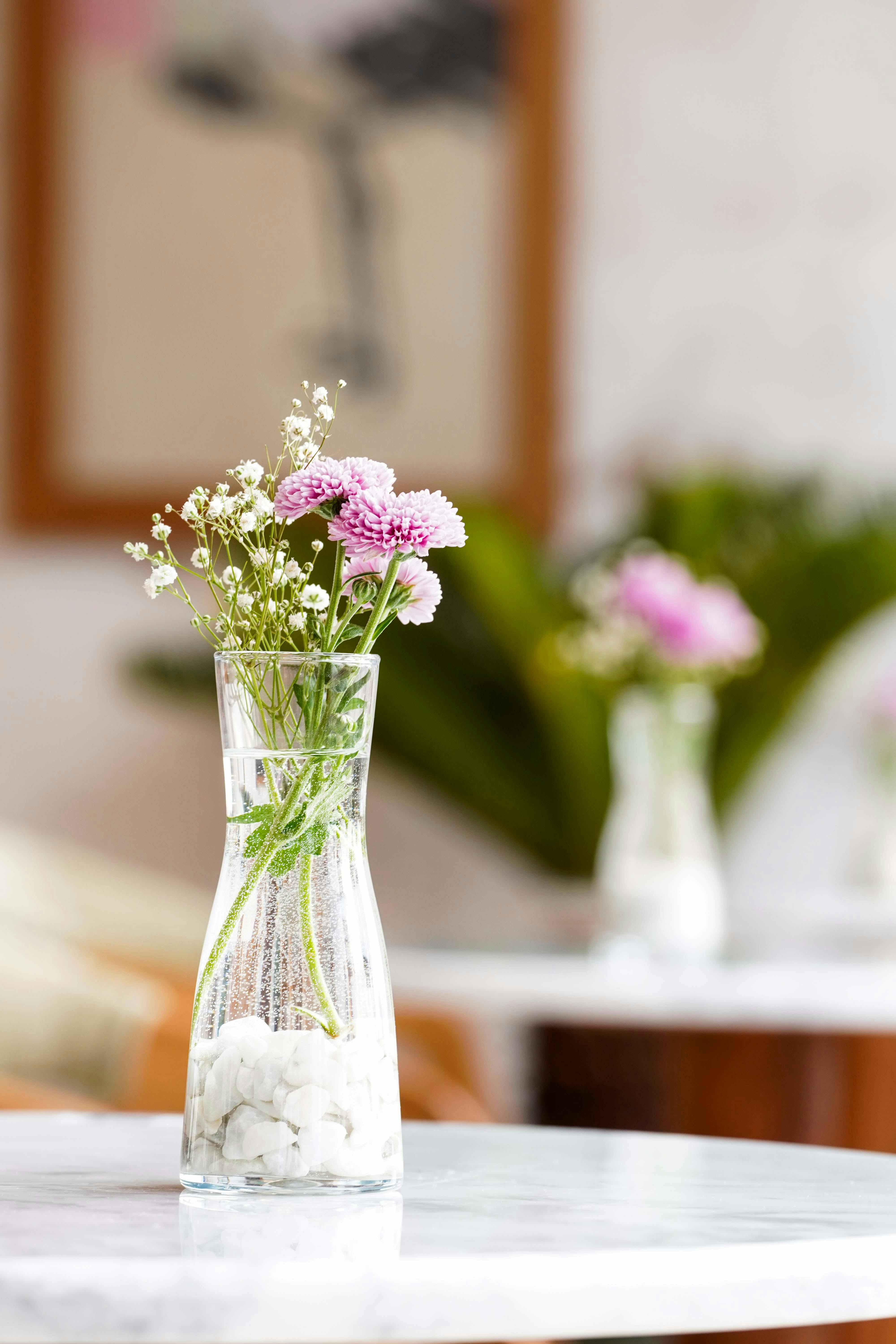 Vase With Flowers Photos, Download The Best Free Vase With Flowers 