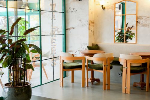 Free Modern cafe interior design featuring wooden chairs, large mirror, and lush green plants. Stock Photo