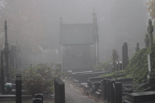 Cemetery in the fog