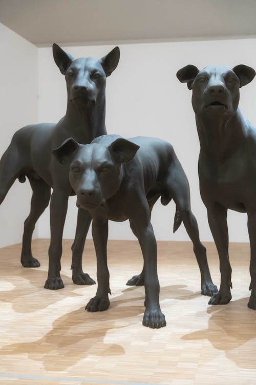 강아지 애호가, 개, 동상의 무료 스톡 사진