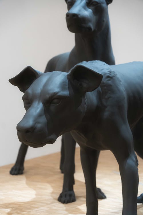강아지 애호가, 개, 동상의 무료 스톡 사진