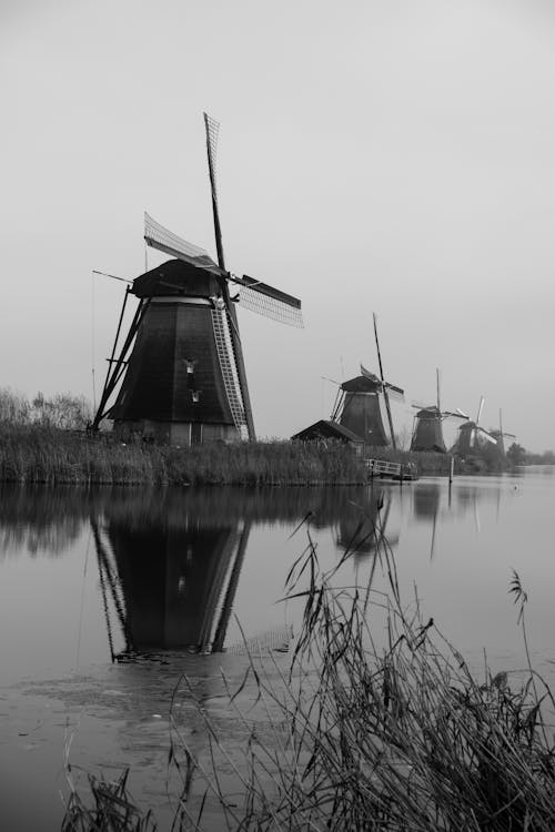 Black and white photograph of windmills on the water