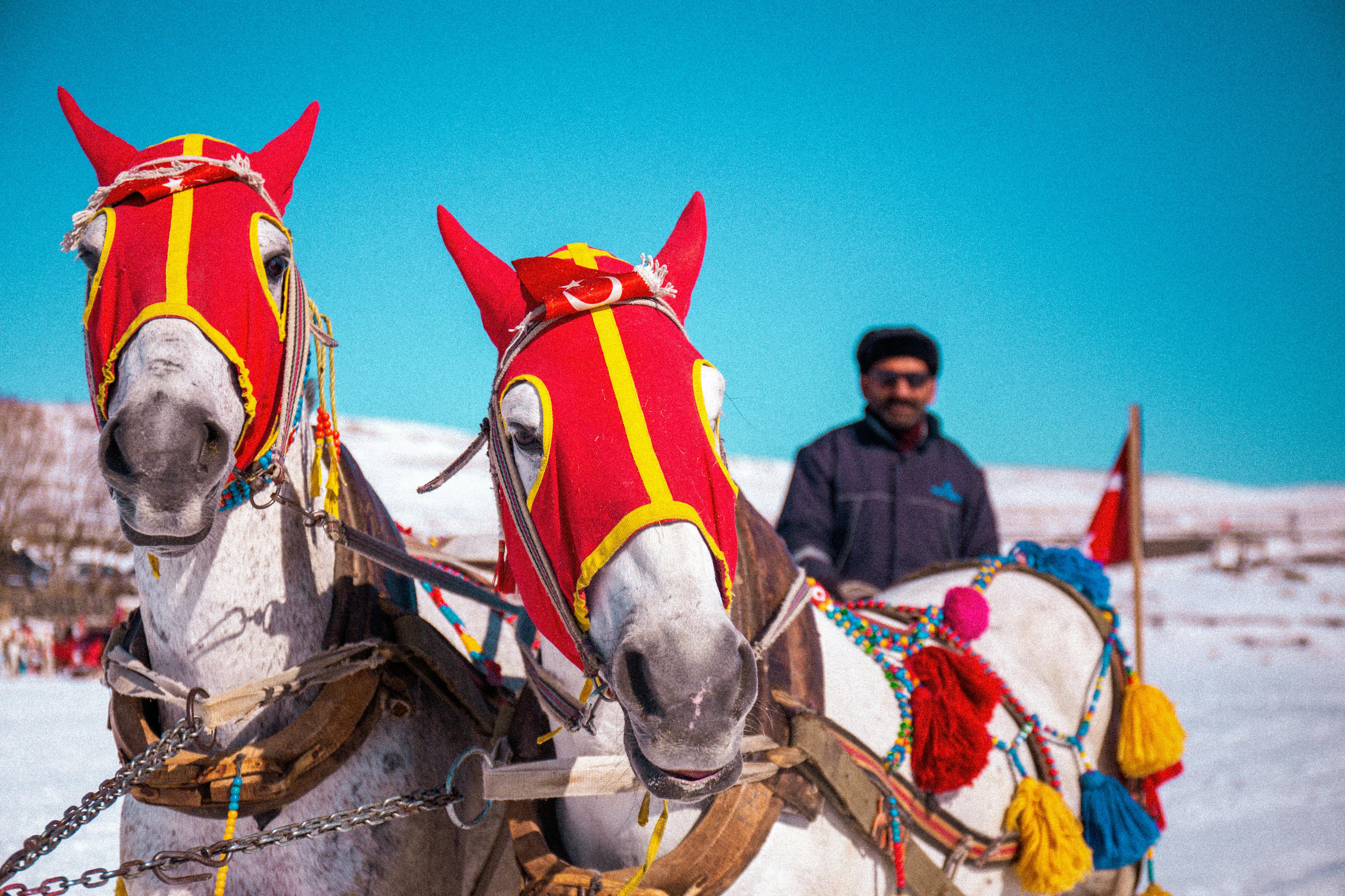 Türkiye’s population prefers Western lifestyle, survey shows — Photo by Fatih Mutaf on Pexels