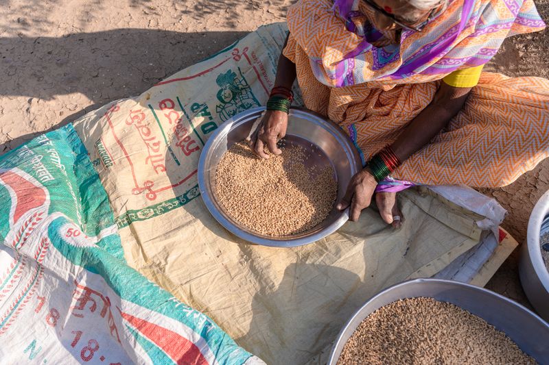 Farmer in an Indian village with morning light