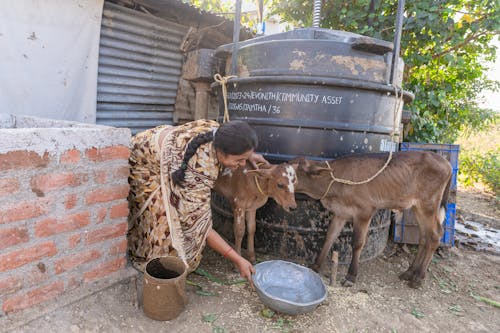 Farmer in Indian Village