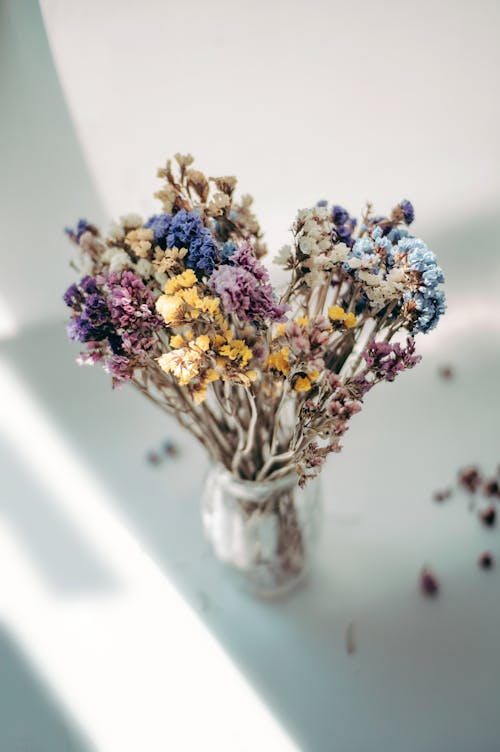 bitkiler, Çiçekler, dekorasyon içeren Ücretsiz stok fotoğraf