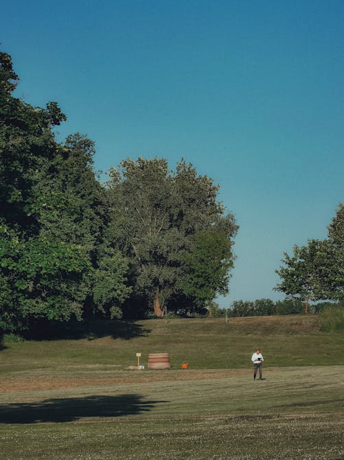 公園, 垂直拍摄, 夏天 的 免费素材图片