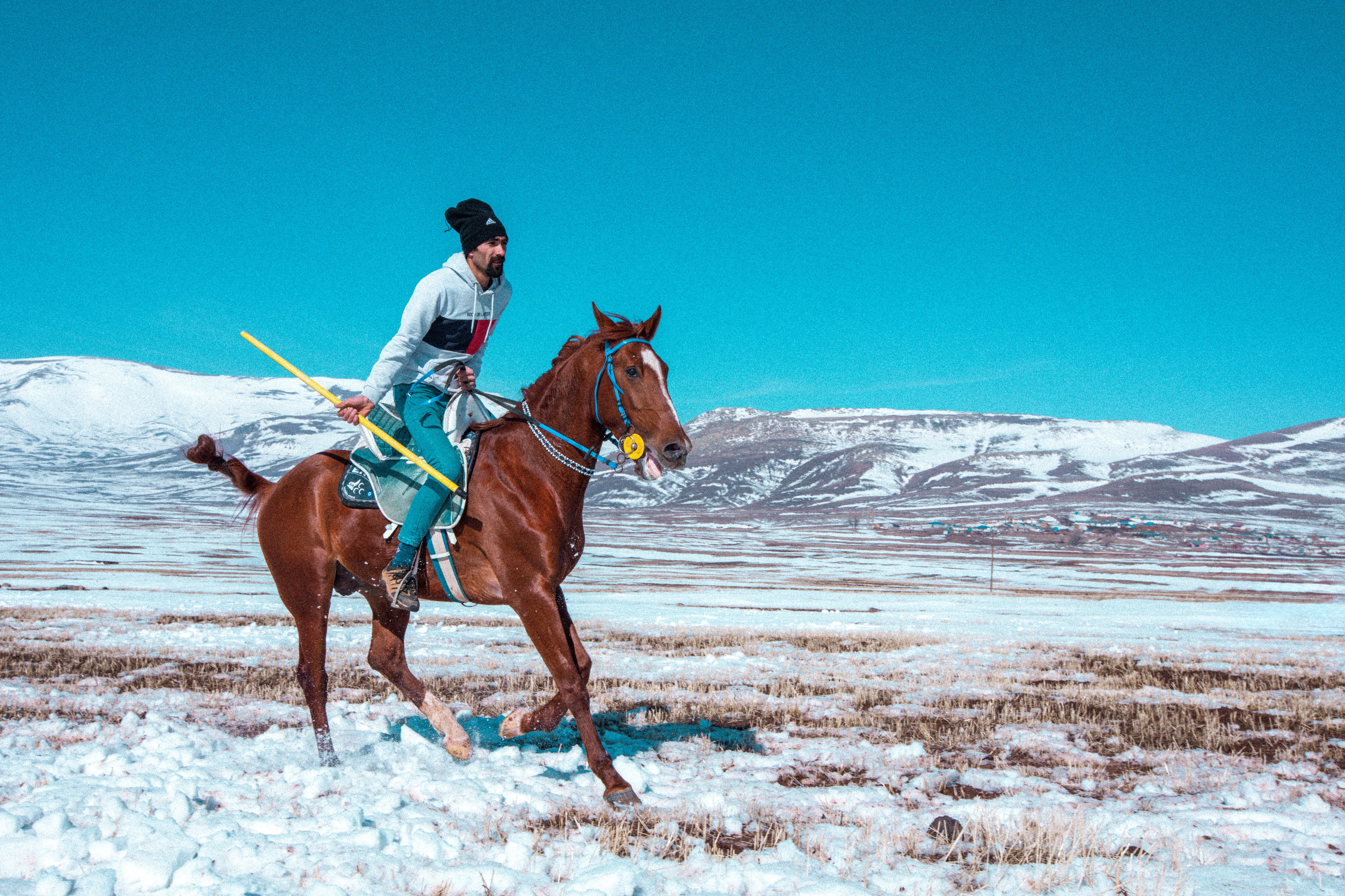 Man Riding Horse in Snow in Winter · Free Stock Photo