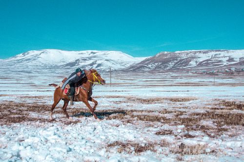 Free A man riding a horse through the snowy plains of Kars, Türkiye, with stunning mountain views. Stock Photo