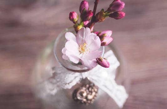 乡村花瓶中精致的樱花特写，象征着春天