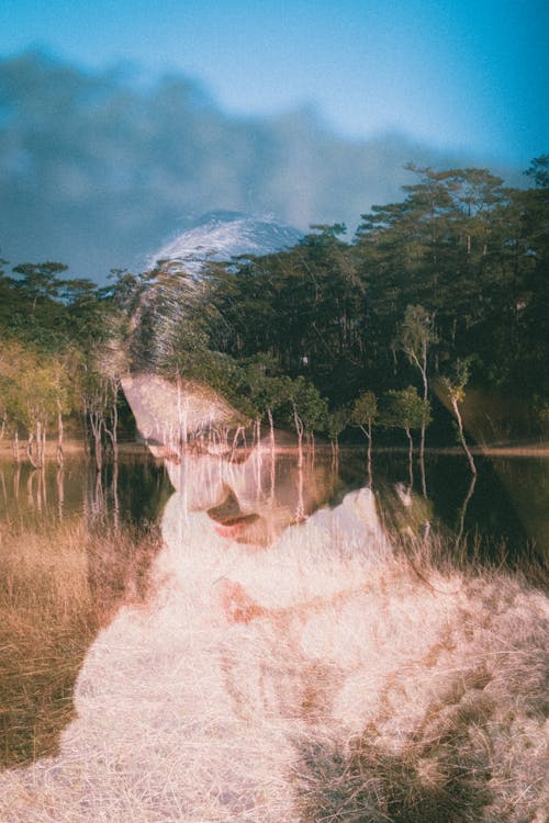 Darmowe zdjęcie z galerii z drzewa, jezioro, kobieta