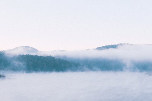 Photos gratuites de brouillard, forêt, lac