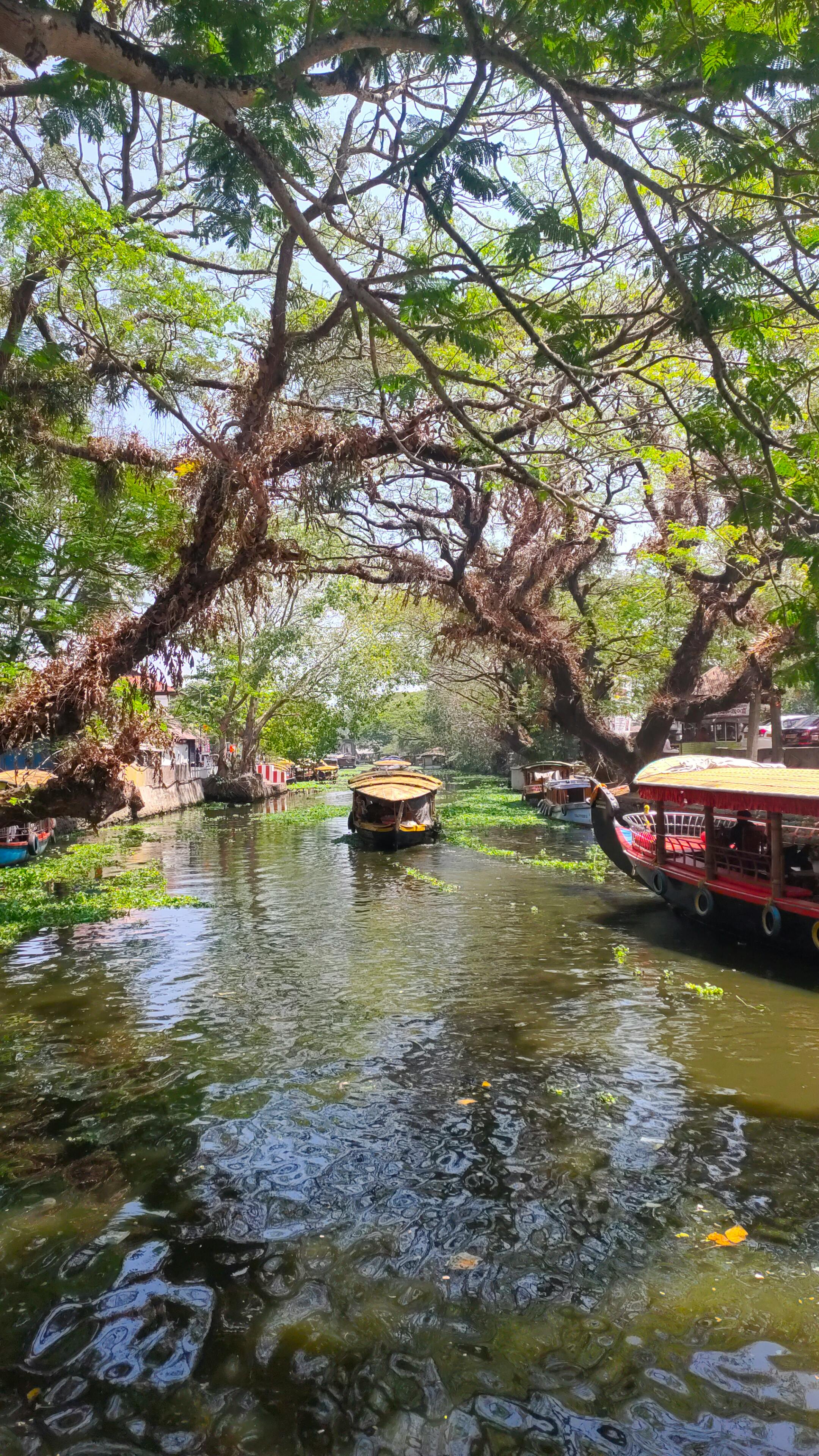 Edwin Jacob Fotografie