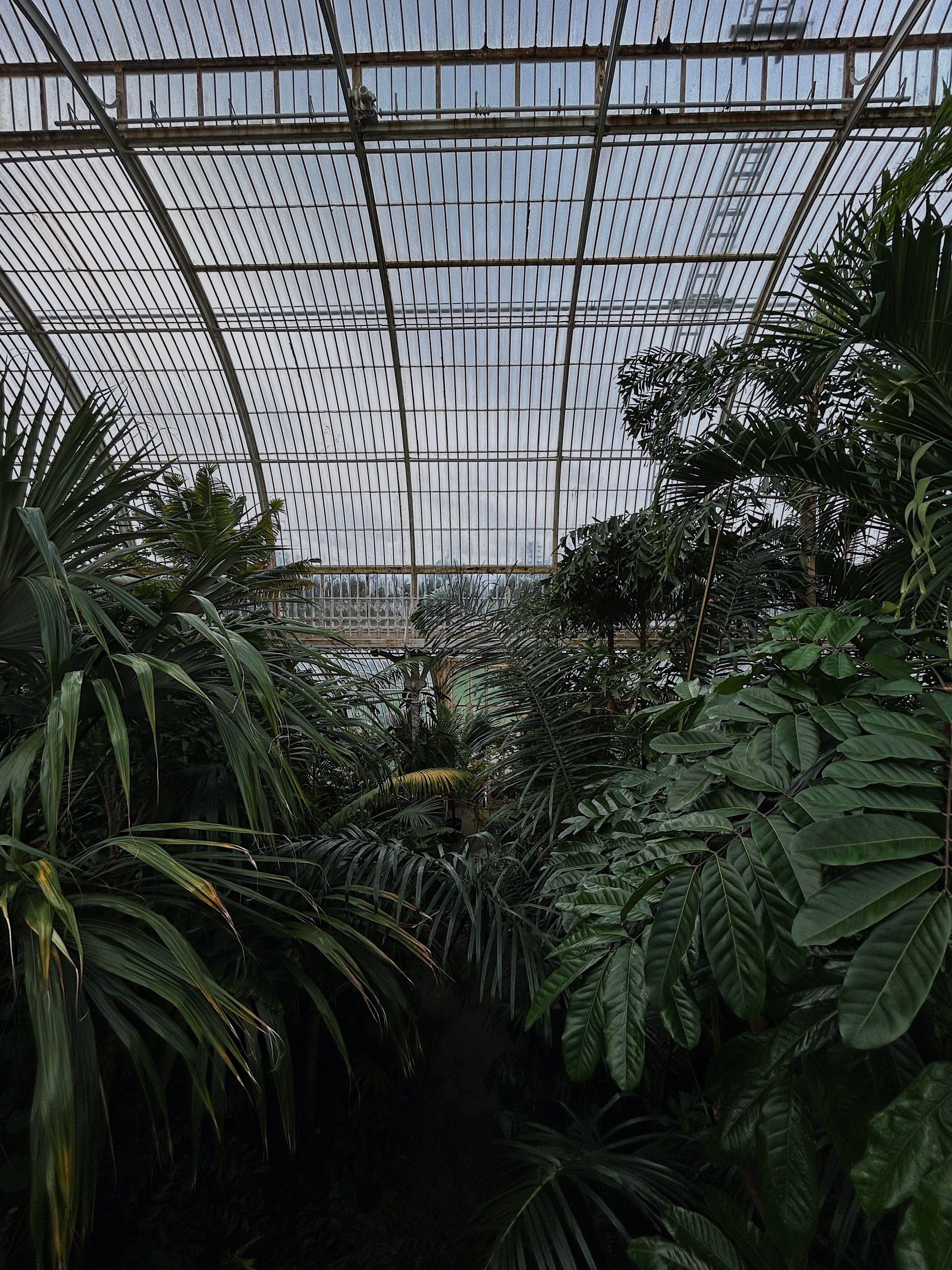 Best 50 Ideas For Buy Victorian Greenhouse