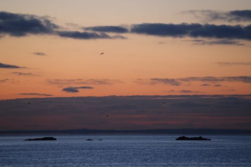 Free Beautiful sunset over the ocean with silhouettes of distant islands and birds in Stamford, CT. Stock Photo