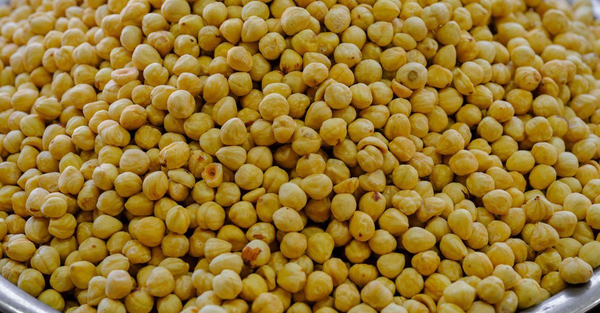 Close-up of abundant raw hazelnuts stacked in a metal bowl, showcasing natural texture. - Evidence evidence guide for soluble fiber cholesterol randomized trial