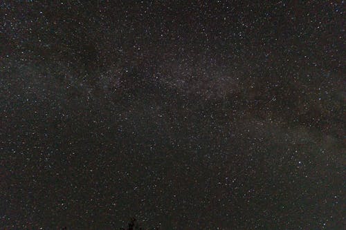 ローアングルショット, 占星術, 夜空の無料の写真素材