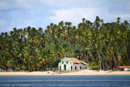 bina, Brezilya, carneiros plajı içeren Ücretsiz stok fotoğraf