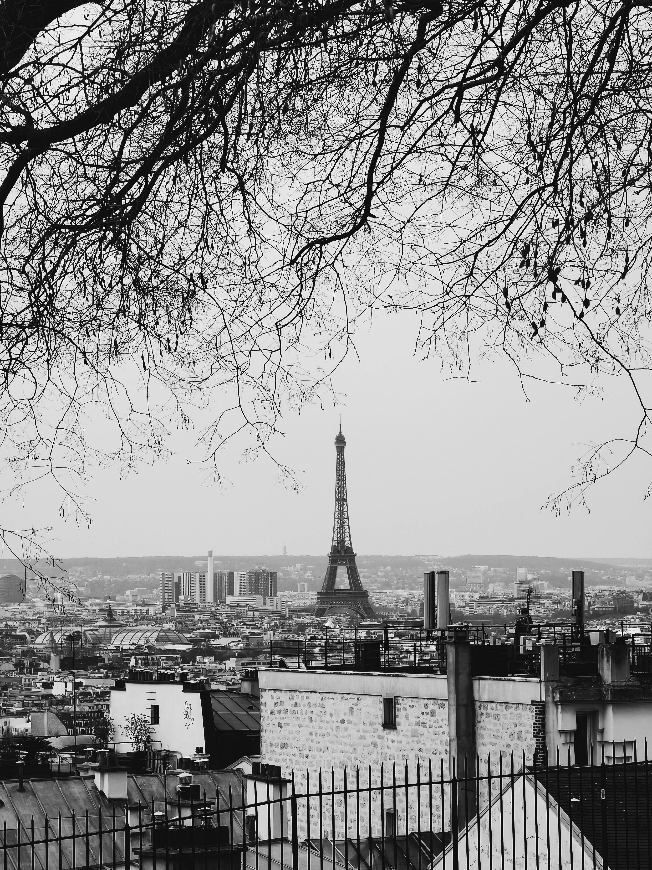 Elegant view of Eiffel Tower in black and white, framed by cityscape and trees.