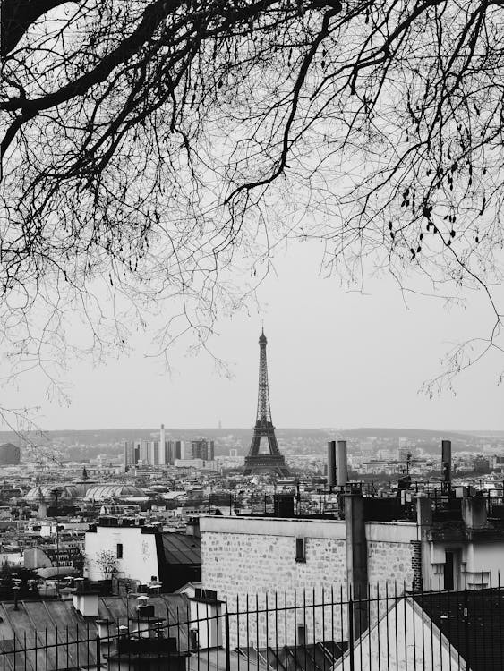 Eiffel Tower in Paris in Black and White 
