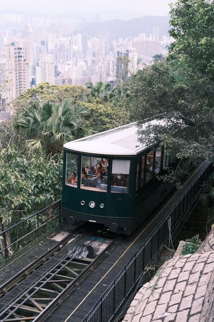 Elevated tram navigating lush greenery with a stunning city view. Captures urban and natural harmony.