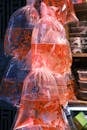 Red Fishes in Bags