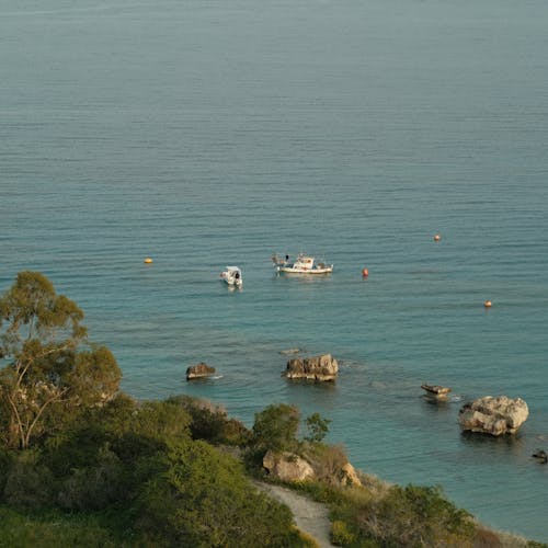 Бесплатное стоковое фото с cean, берег, вертикальный выстрел