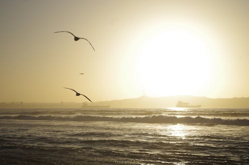 Sun Sets At The Sea