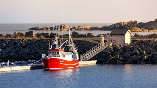 Trawler Moored on Seashore 