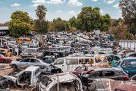Assorted Cars Parked Near Trees