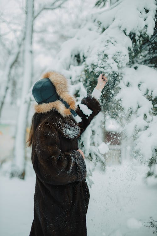 Woman in Fur Hat and Coat Touching Evergreen Tree in Winter