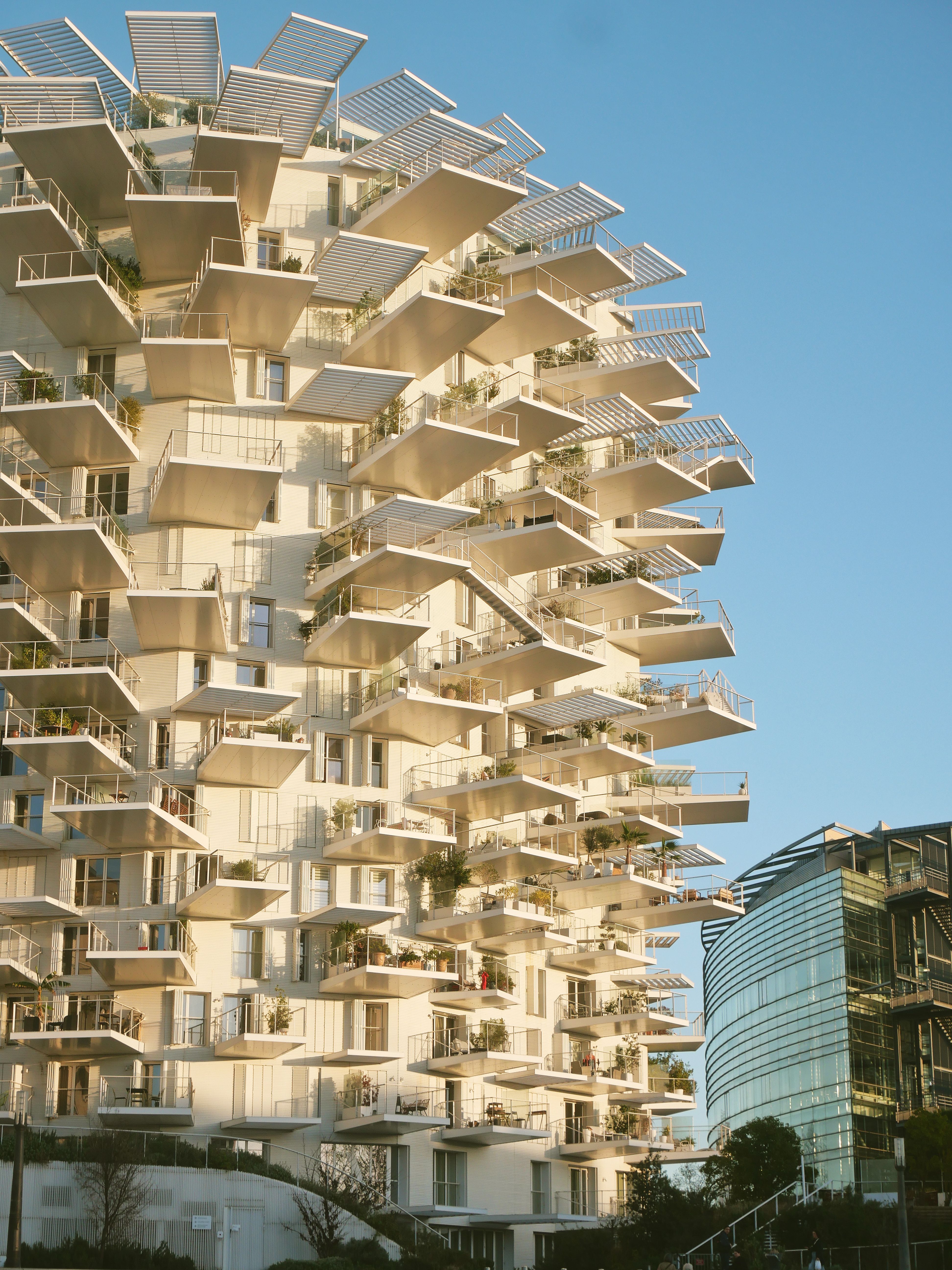 Couverture : Investing in Montpellier property