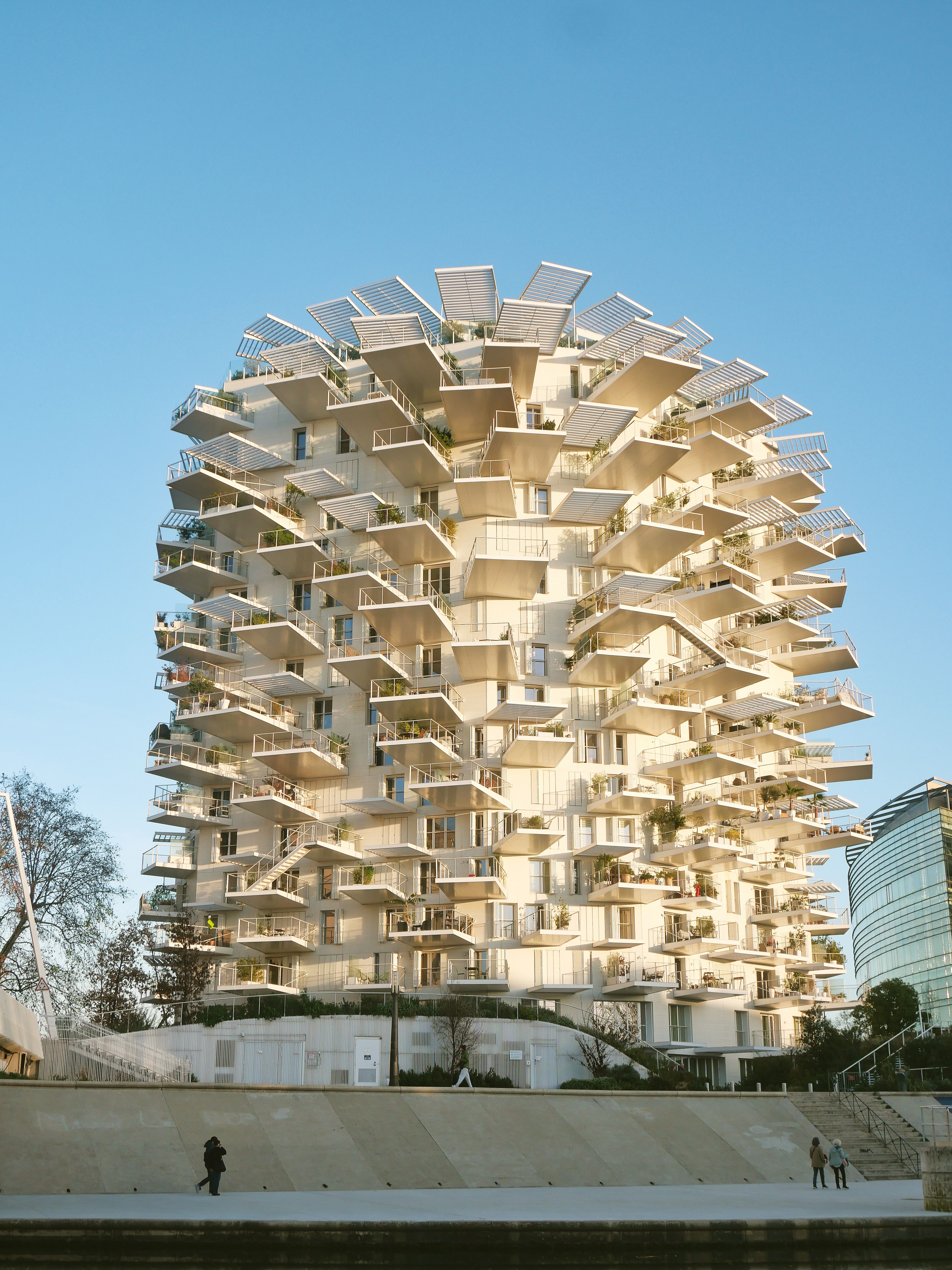 A tall building with many different shaped trees · Free Stock Photo
