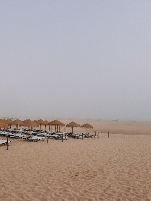 Ilmainen kuvapankkikuva tunnisteilla aurinkovarjot, hiekka, hiekkaranta