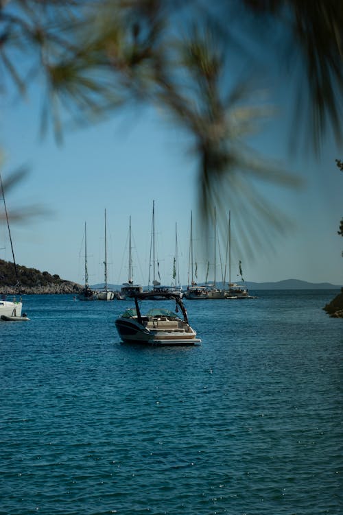 A boat is docked in the water near trees