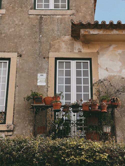 A house with potted plants on the front porch