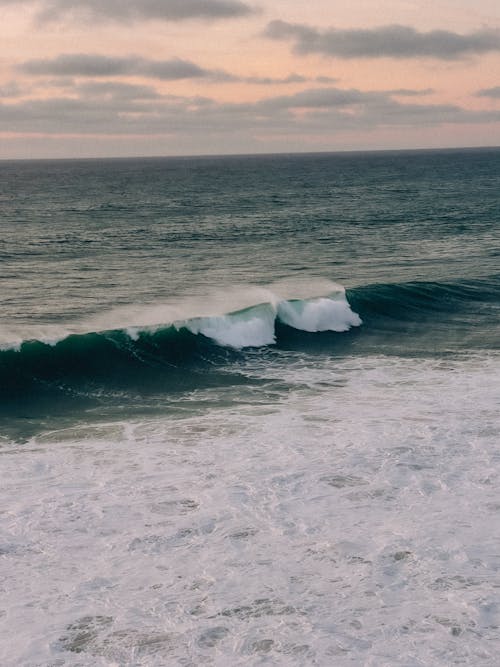 Foto profissional grátis de espuma, litoral, mar