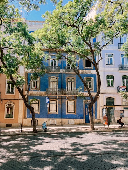 A blue building with trees in front of it