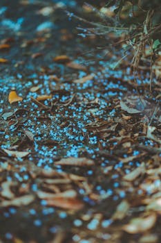 艺术展示中，充满活力的蓝色花瓣散落在室外干燥的叶子上